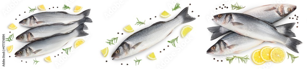Sea bass fich isolated on white background. Top view. Flat lay. Set or collection Sea bass fich isolated on white background. Top view. Flat lay. Set or collection