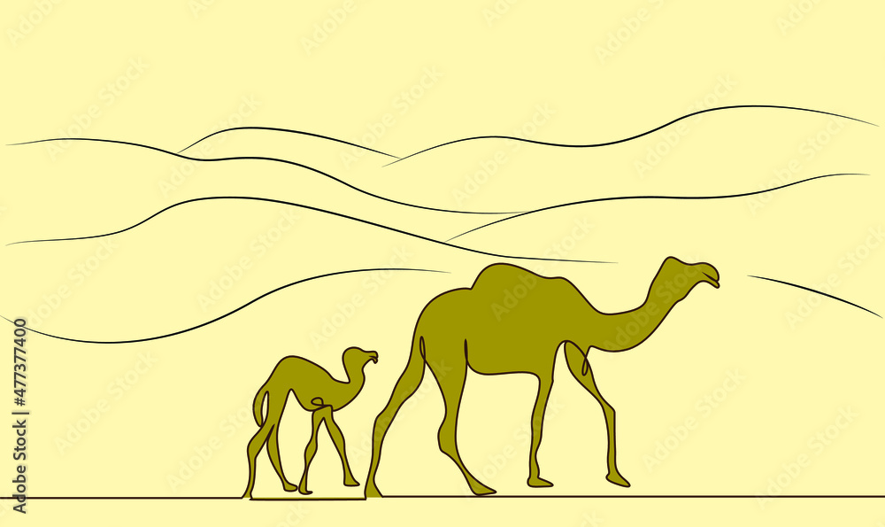 Fototapeta premium camel and camel cub advancing in the desert together