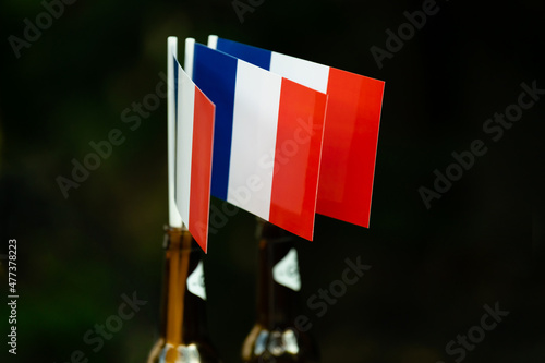 Small flags of france. France paper flags. Day of France. Paper flags.