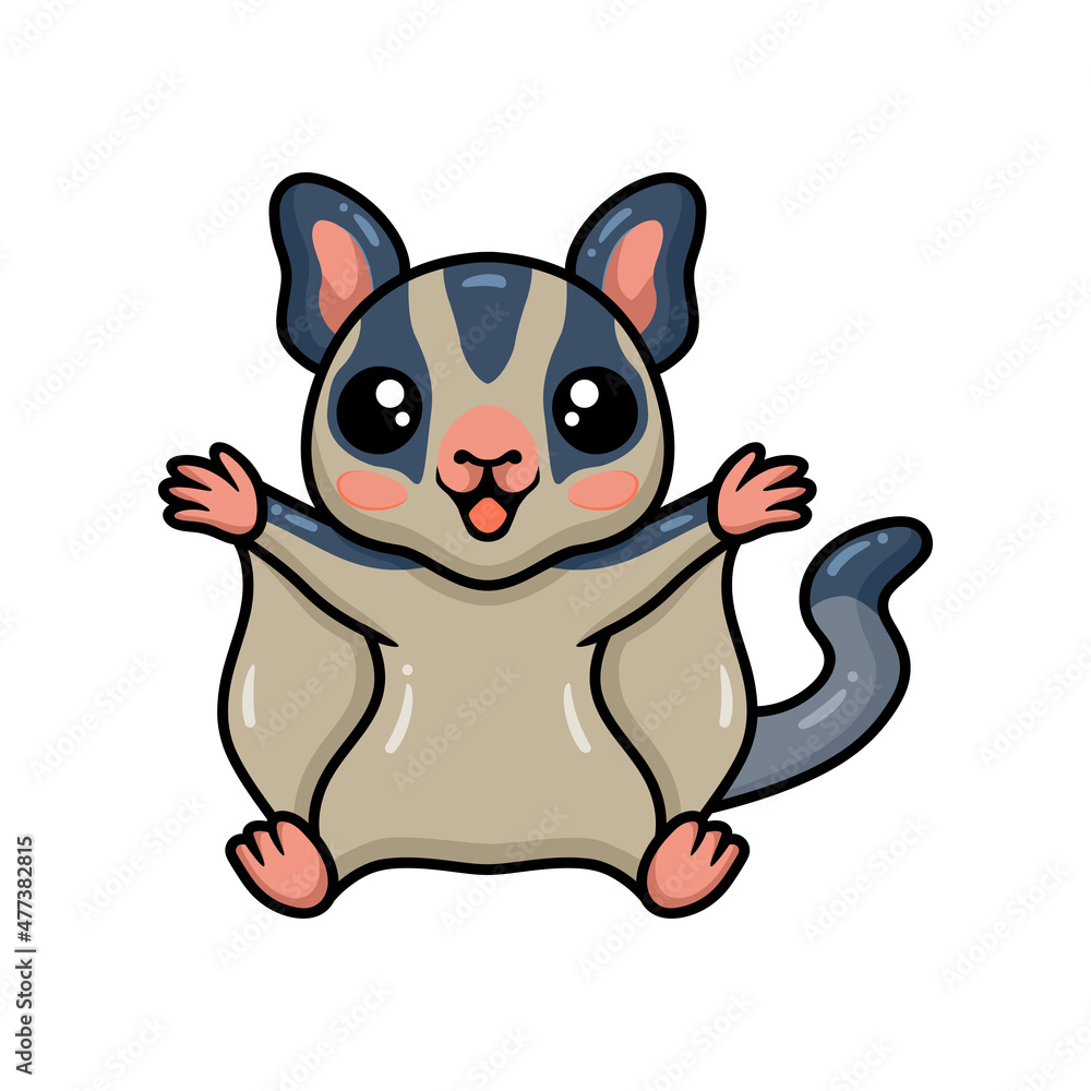 Cute little sugar glider cartoon posing Cute little sugar glider cartoon posing