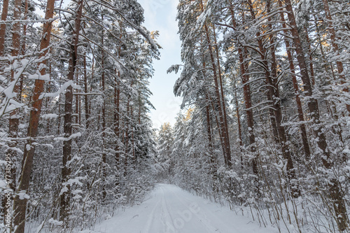 Beautiful winter calendar landscape with a lot of snow on forest road