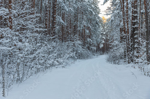 Beautiful winter calendar landscape with a lot of snow on forest road