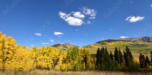 Fall Scene Near Crested Butte  Colorado