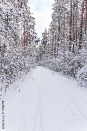 Beautiful winter calendar landscape with a lot of snow on forest road