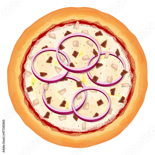 Pizza with onion and meat concept illustration vector fast food