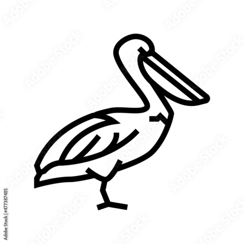 pelican wild bird line icon vector. pelican wild bird sign. isolated contour symbol black illustration