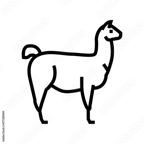 lama wild animal line icon vector. lama wild animal sign. isolated contour symbol black illustration