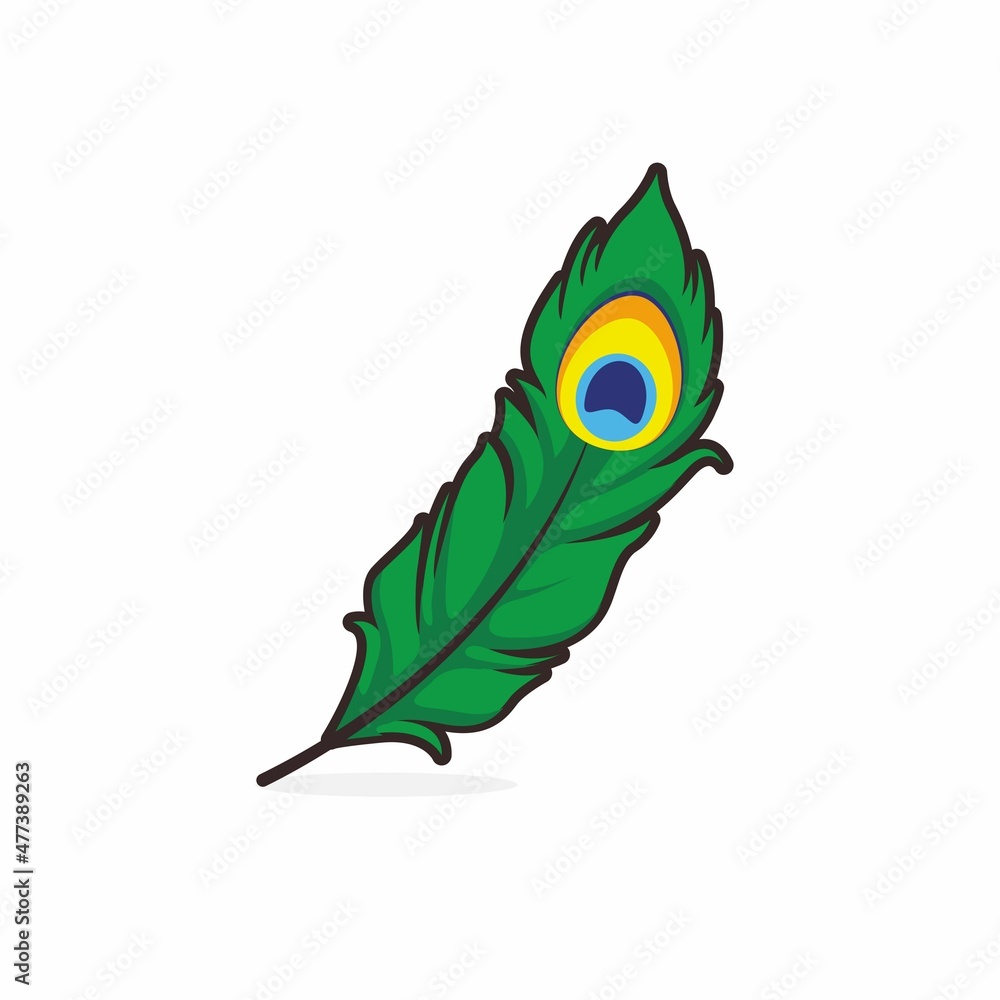 Obraz premium Illustration vector graphic of Peacock Feather. Peacock Feather minimalist style isolated on a white background.
