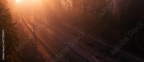 Foto Empty railway track in the forest at sunset or dawn.