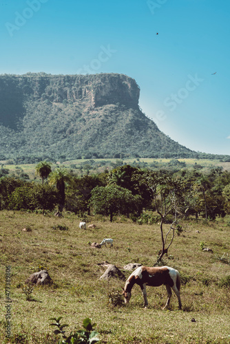 Morro da Chapéu mountain peak in Chapada das Mesas National Park in Brazil