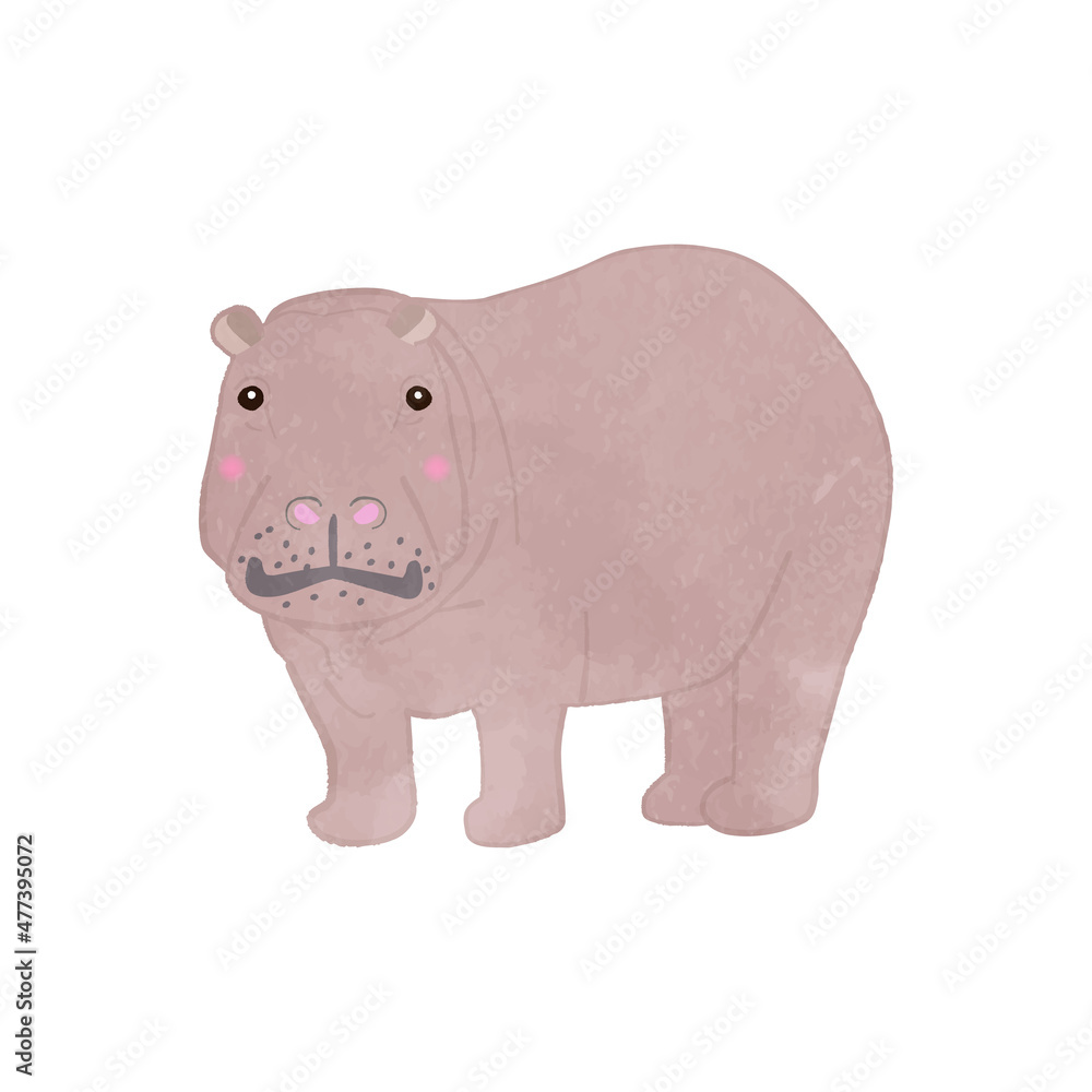 Illustration of a cute hippo looking over here