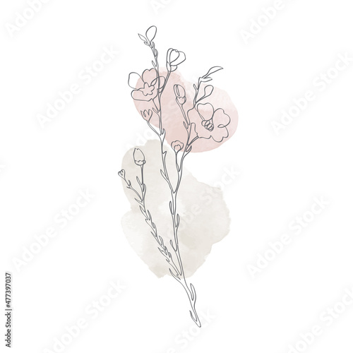 Flower line arts with earth tone watercolor background vector.