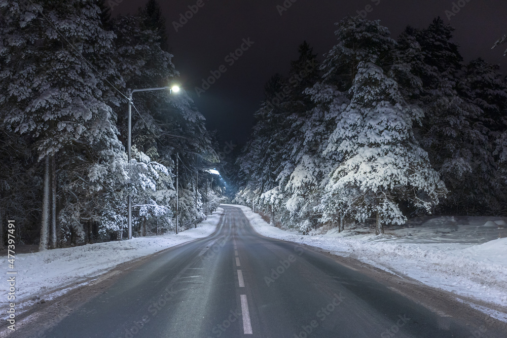 road in the winter night forest