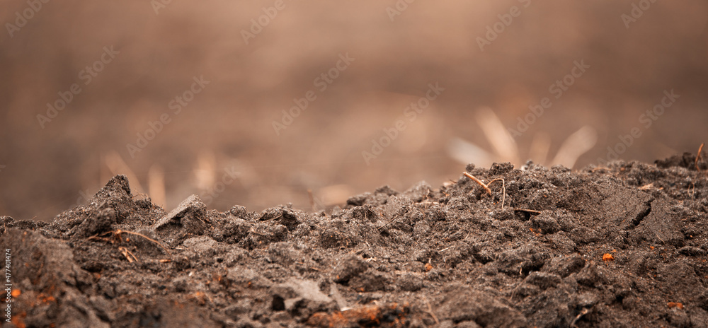 cultivated soil in the field selective focus. cultivated soil in the field selective focus.