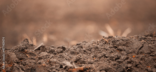 Fotografie, Obraz cultivated soil in the field selective focus.