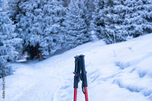 Trekking poles handles on the background of the beginning of the winter trail in the mountains. The concept of safe movement in the mountains using trekking poles.