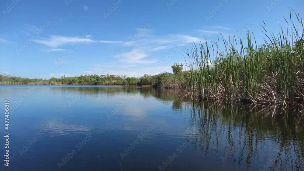 Afternoon kayaking on Nine Mile Pond in Everglades National Park, Florida on calm sunny winter day 4K. Afternoon kayaking on Nine Mile Pond in Everglades National Park, Florida on calm sunny winter day 4K.