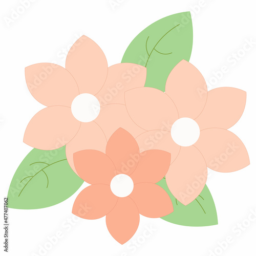 illustration of a flower