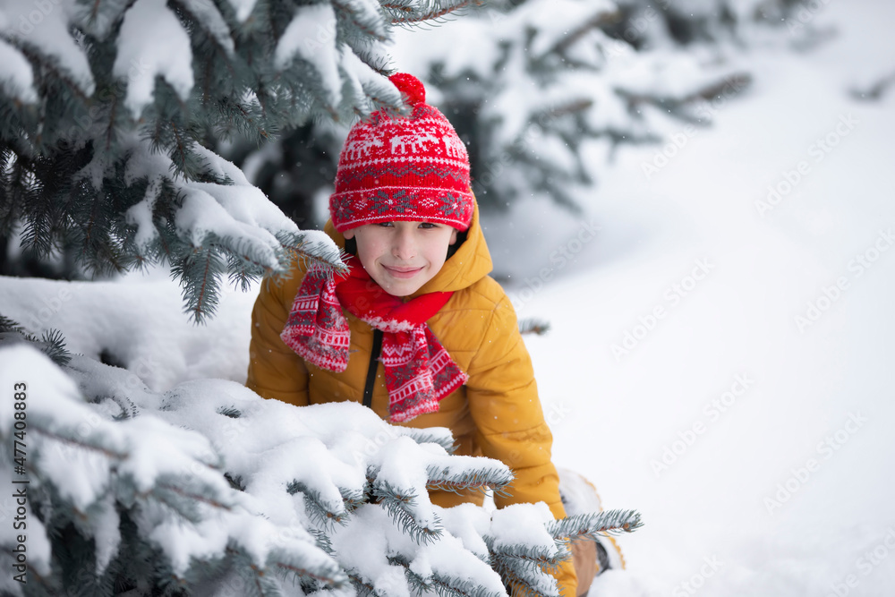 Handsome little boy among the spruce branches covered with snow. Child in winter. Handsome little boy among the spruce branches covered with snow. Child in winter.