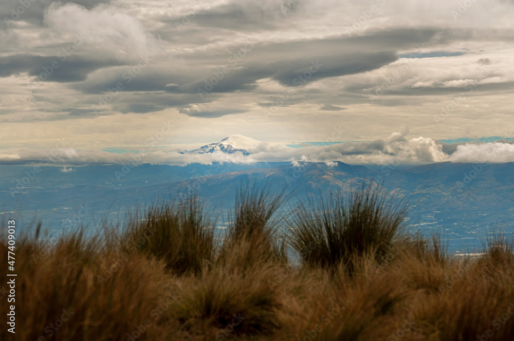 Snowcapped Cayambe Volcano with Andes grass in foreground seen from Pichincha Volcano, Quito, Ecuador. Focus on volcano.