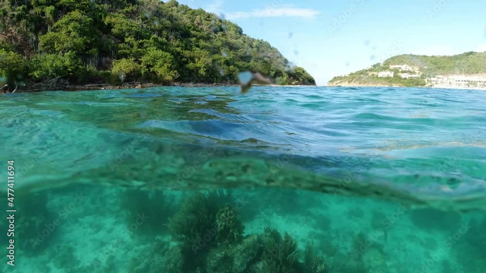 split view Marina Key, British Virgin Islands. Land and below the surface of the water split view Marina Key, British Virgin Islands. Land and below the surface of the water