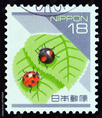 Ladybird insect, Coccinella septempunctata (Japan 1994)