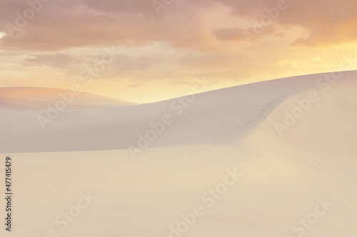Enchanting White Sands