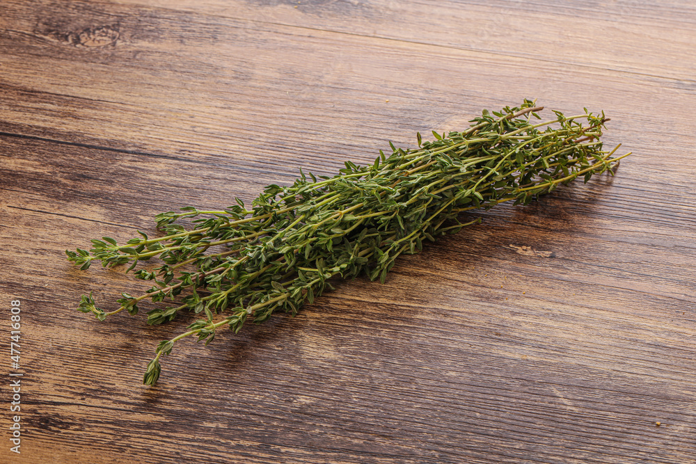Fresh aroma green herb Thyme seasoning Fresh aroma green herb Thyme seasoning
