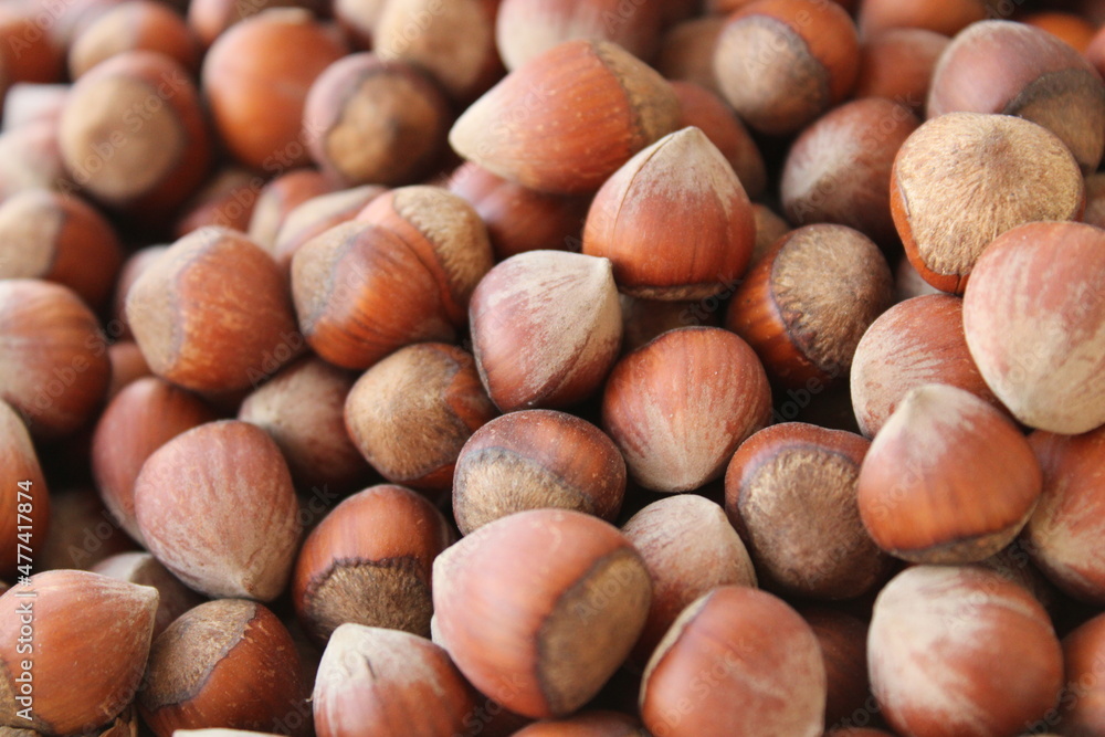 Natural dry hazelnuts close up view, harvested fruits in summer
Natural dry hazelnuts close up view, harvested fruits in summer