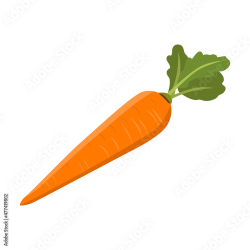 Flat vector of Carrot isolated on white background. Flat illustration graphic icon