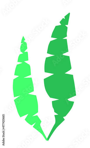 Seaweed silhouette long with cutouts Aquarium algae