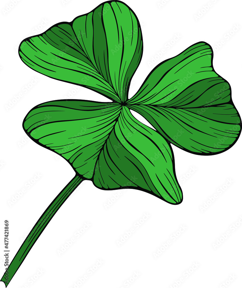 Shamrock leaf isolated on white. Hand drawn vector illustration. Eps10
Shamrock leaf isolated on white. Hand drawn vector illustration. Eps10