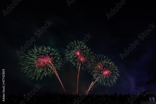 Crowd looks holiday fireworks in dark evening sky.