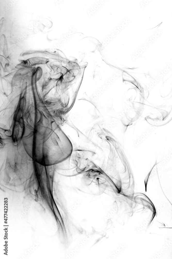 Fototapeta premium Smoke toxic movement on a white background.