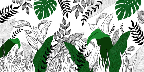 Pattern leaves flowers nature abstraction lines