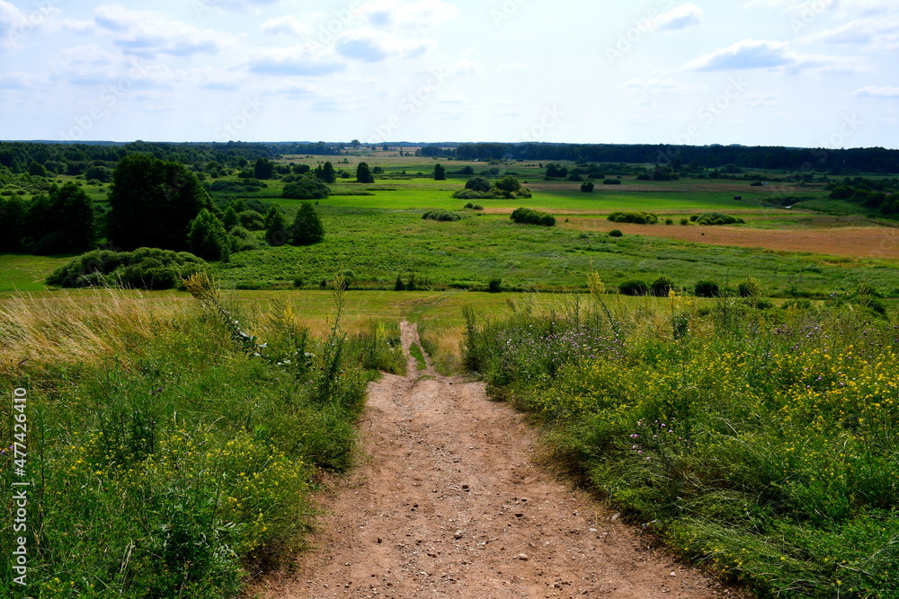 A view from the top of a tall hill covered with grass, reeds, and plants located next to a dirt path leading downwards with the view of the horizon and trees or moors in Poland