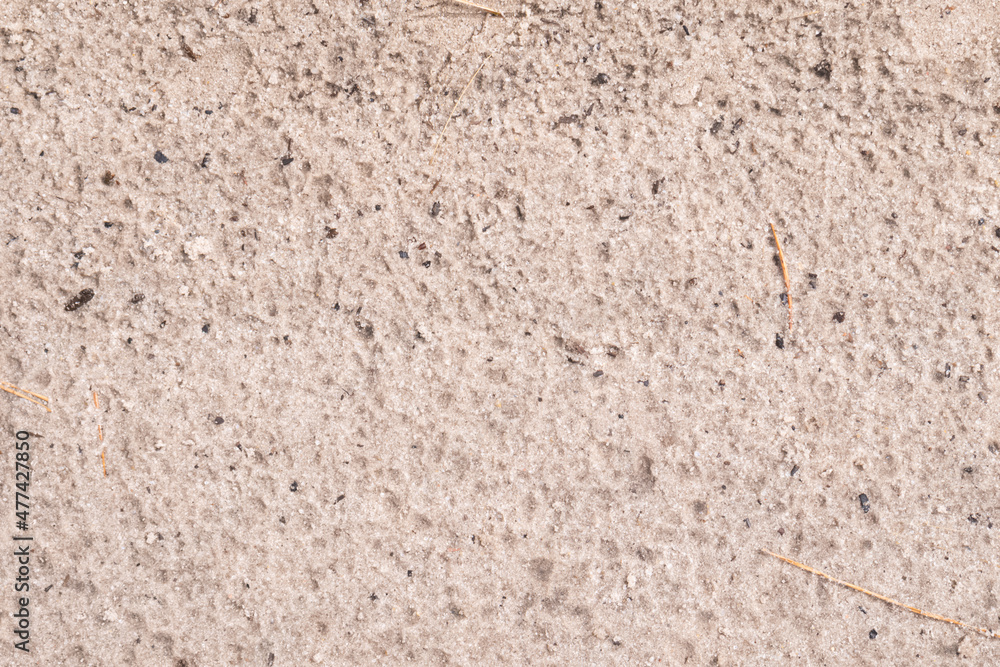 Wet light pink sand with twigs in the forest Wet light pink sand with twigs in the forest