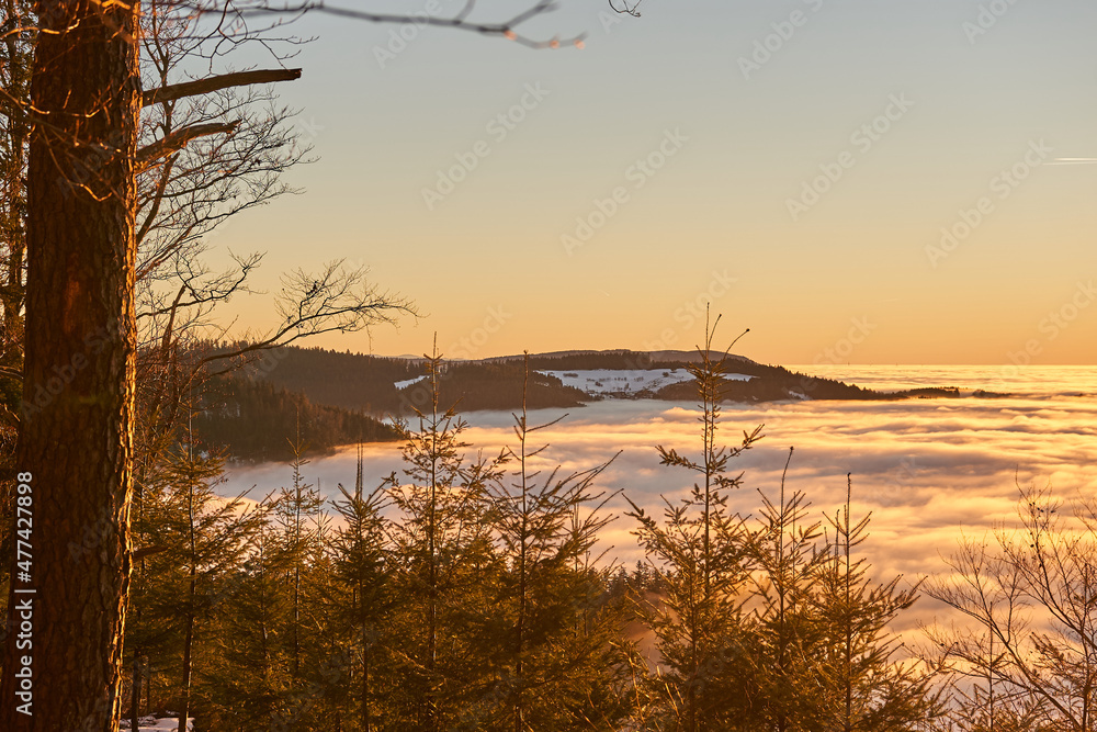 Nebelschwaden im Schwarzwald während Sonnenuntergang