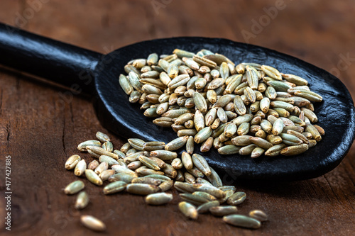 Rye Secale cereale family Poaceae in wooden spoon wooden background photo