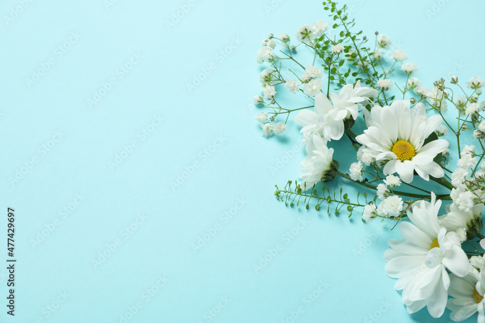 Fototapeta premium Hello spring concept with flowers on blue background