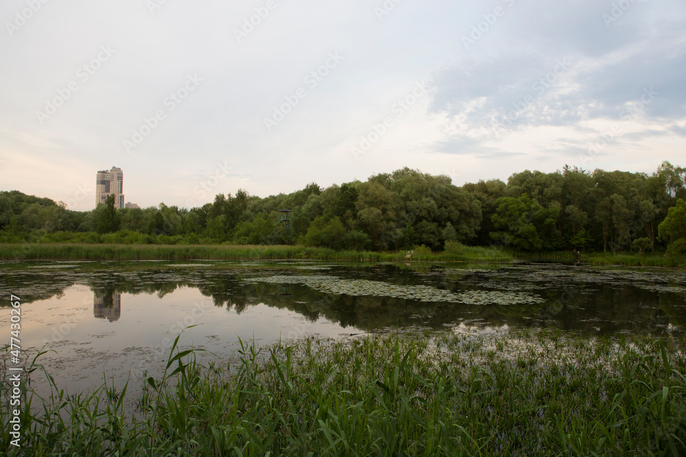 Beautiful nature with pond lake, green trees foliage, grass and clouds in the background. Afternoon panorama landscape at Pokrovskoe Streshnevo urban forest park, Moscow, Russia Beautiful nature with pond lake, green trees foliage, grass and clouds in the background. Afternoon panorama landscape at Pokrovskoe Streshnevo urban forest park, Moscow, Russia