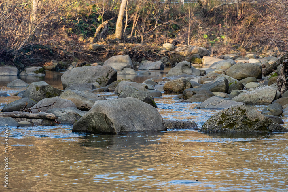 Mountain river among stones and trees. Close-up of boulders in water. Huge stones in green moss. Bbeautiful landscape of fast river with small whirlpools and waterfalls around stones. Mountain river among stones and trees. Close-up of boulders in water. Huge stones in green moss. Bbeautiful landscape of fast river with small whirlpools and waterfalls around stones.