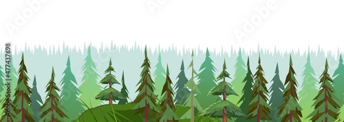 Forest trees. Coniferous fir and pine. Isolated on white background. Spruce thickets on the horizon. Seamless horizontal illustration in cartoon style flat design. Vector