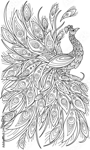 Canvastavla Peacock coloring book for adult illustrations
