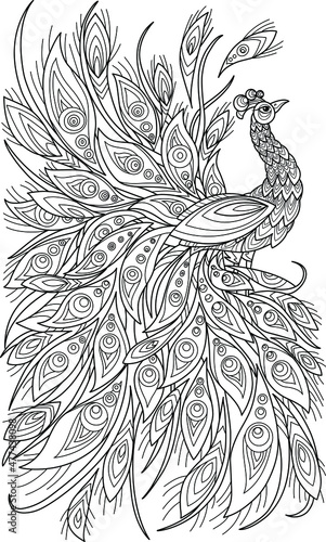 Peacock coloring book for adult illustrations. Anti-stress coloring