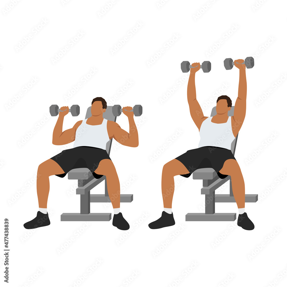 Man doing Incline Dumbbell bench press exercise. Flat vector illustration  isolated on white background. Workout character Stock Vector | Adobe Stock