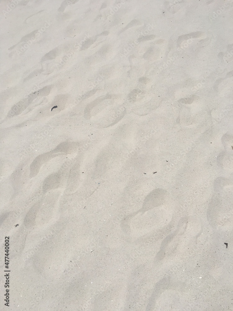 footprints in the sand footprints in the sand