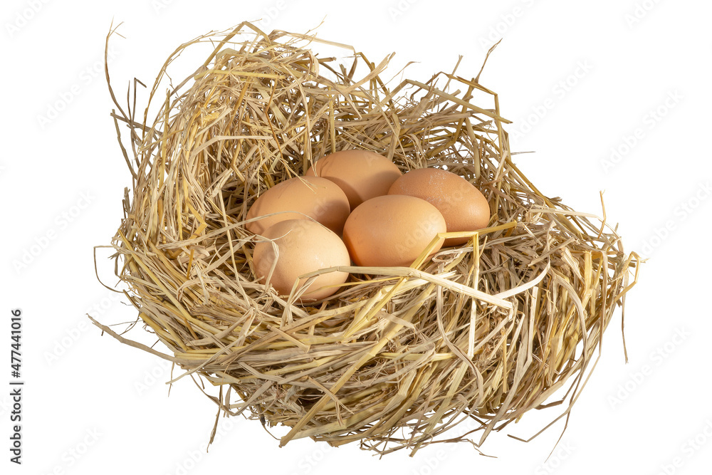 Close-up natural brown chicken eggs lay on a bed of fluffy straw, chicken's nest with clipping path on white background. Clipping path Close-up natural brown chicken eggs lay on a bed of fluffy straw, chicken's nest with clipping path on white background. Clipping path