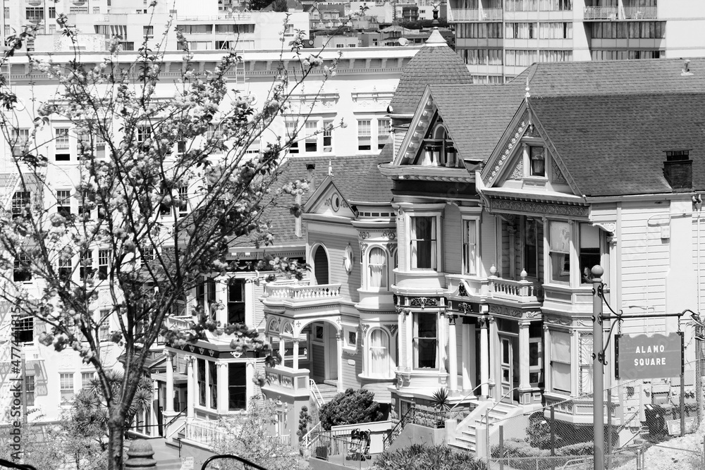 San Franscisco - Alamo Square. Black and white photo.