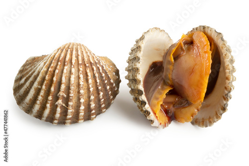 Fresh Homemade Steamed and Boiled Cockles on white background. Clipping path